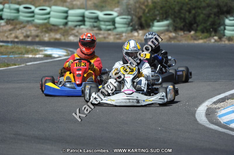 DSC (2906).JPG